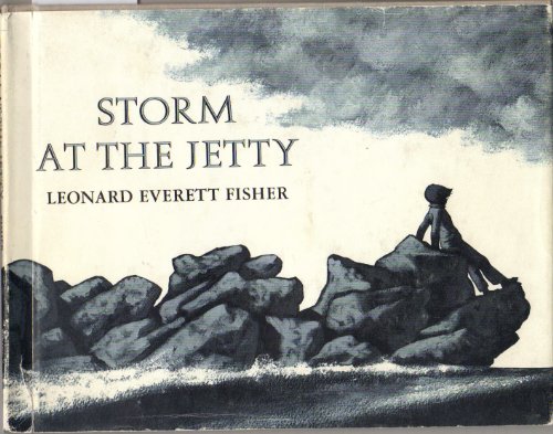 Book cover for Storm at the Jetty