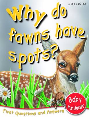 Book cover for Why Do Fawns Have Spots?