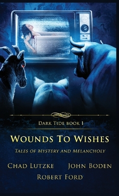 Book cover for Wounds to Wishes