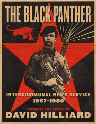 Book cover for The Black Panther