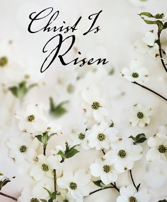 Book cover for Christ Is Risen Dogwood Easter Bulletin, Large (Pkg of 50)