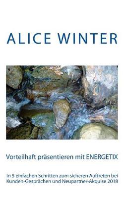 Book cover for Vorteilhaft Prasentieren Mit Energetix