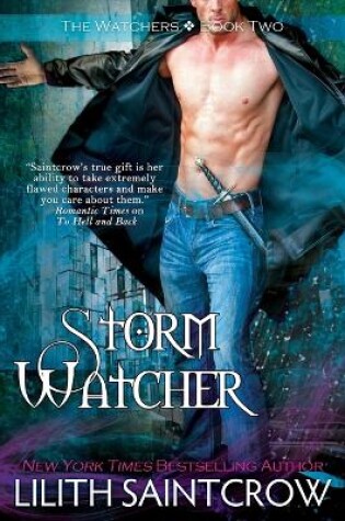 Cover of Storm Watcher