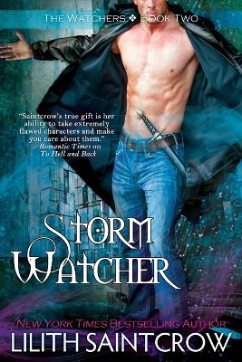 Book cover for Storm Watcher