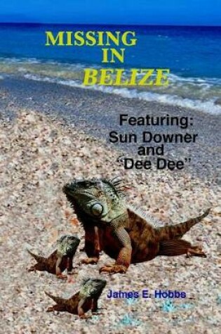 Cover of Missing In Belize