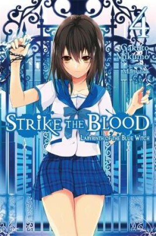 Cover of Strike the Blood, Vol. 4 (light novel)