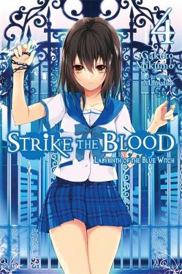 Book cover for Strike the Blood, Vol. 4 (light novel)