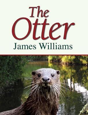 Book cover for The Otter