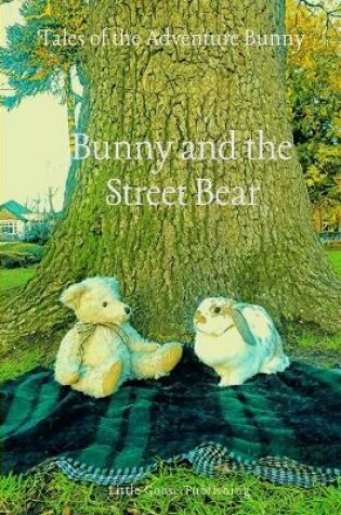 Cover of Bunny and the Street Bear