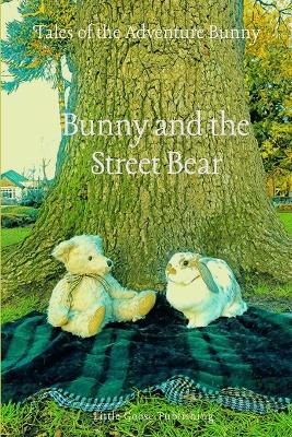 Book cover for Bunny and the Street Bear