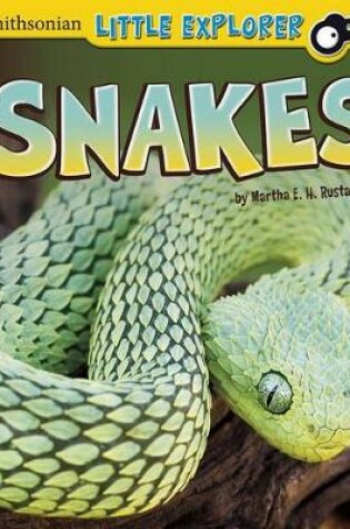 Cover of Snakes