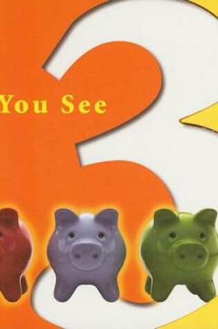 Cover of Do You See 3?