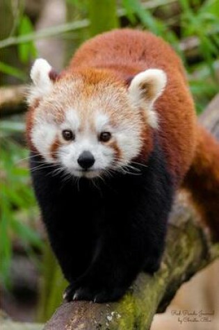 Cover of Red Panda Journal