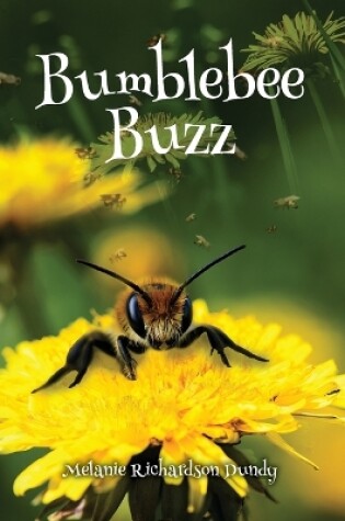 Cover of BumbleBeeBuzz