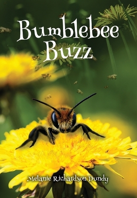 Book cover for BumbleBeeBuzz