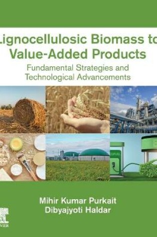 Cover of Lignocellulosic Biomass to Value-Added Products