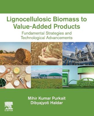 Book cover for Lignocellulosic Biomass to Value-Added Products