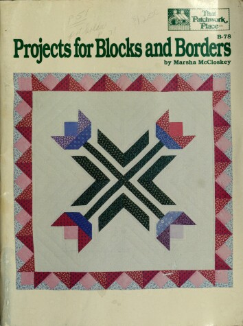 Book cover for Projects for Blocks and Borders