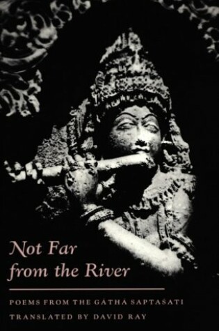 Cover of Not Far from the River