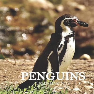 Book cover for Penguins Calendar 2019