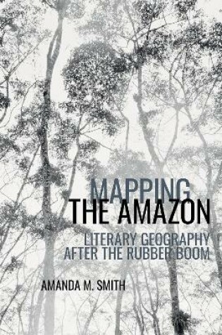 Cover of Mapping the Amazon