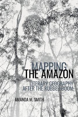 Cover of Mapping the Amazon