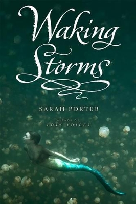 Cover of Waking Storms, 2