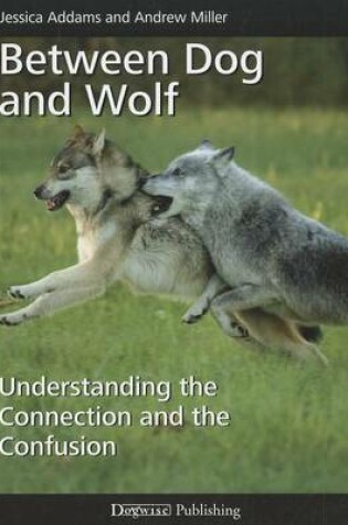 Cover of Between Dog and Wolf