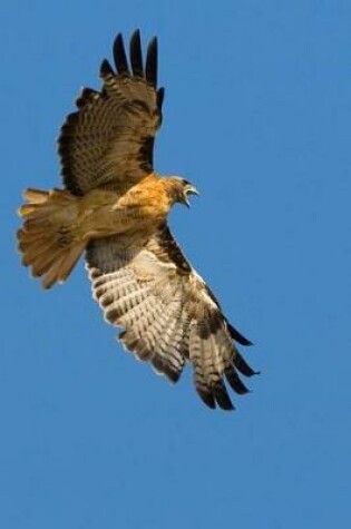 Cover of Red Tailed Hawk in Flight Journal