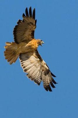 Book cover for Red Tailed Hawk in Flight Journal