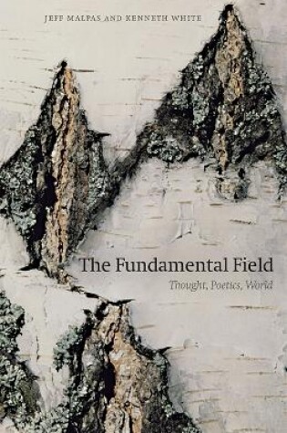 Cover of The Fundamental Field