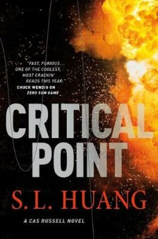 Cover of Critical Point