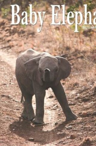 Cover of Baby Elephant