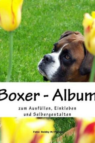 Cover of Boxer - Album