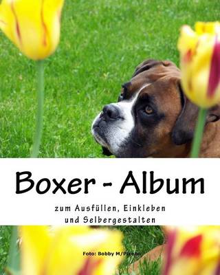 Book cover for Boxer - Album