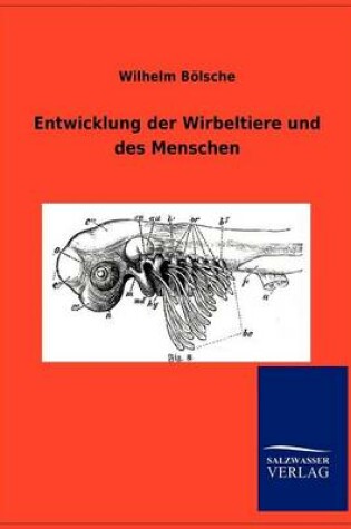 Cover of Entwicklung der Wirbeltiere und des Menschen