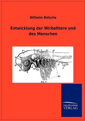 Book cover for Entwicklung der Wirbeltiere und des Menschen