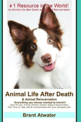 Cover of Animal Life After Death & Animal Reincarnation
