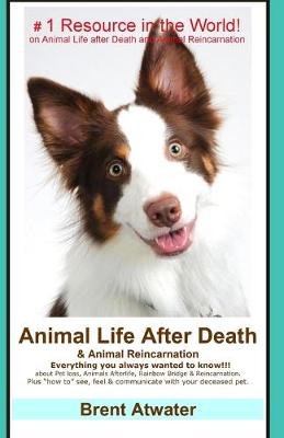 Book cover for Animal Life After Death & Animal Reincarnation
