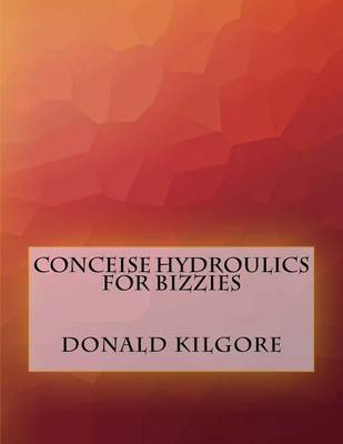 Book cover for Conceise Hydroulics For Bizzies