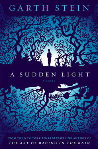 Cover of A Sudden Light