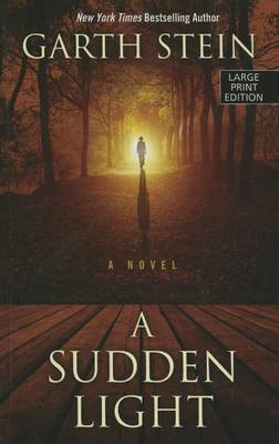 Book cover for A Sudden Light