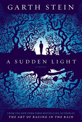 Book cover for A Sudden Light