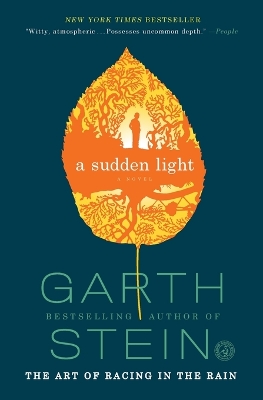 Book cover for A Sudden Light