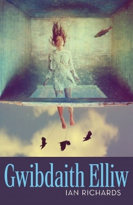 Book cover for Gwibdaith Elliw