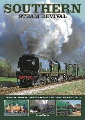 Book cover for Southern Steam Revival