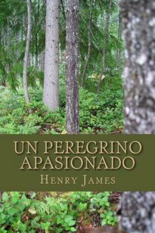 Cover of Un Peregrino Apasionado