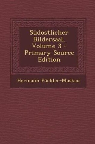 Cover of Sudostlicher Bildersaal, Volume 3 - Primary Source Edition