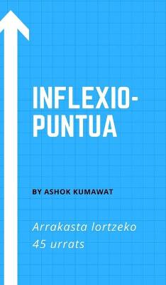 Book cover for Inflexio-puntua