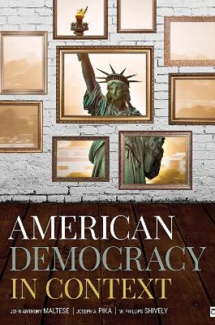 Cover of American Democracy in Context